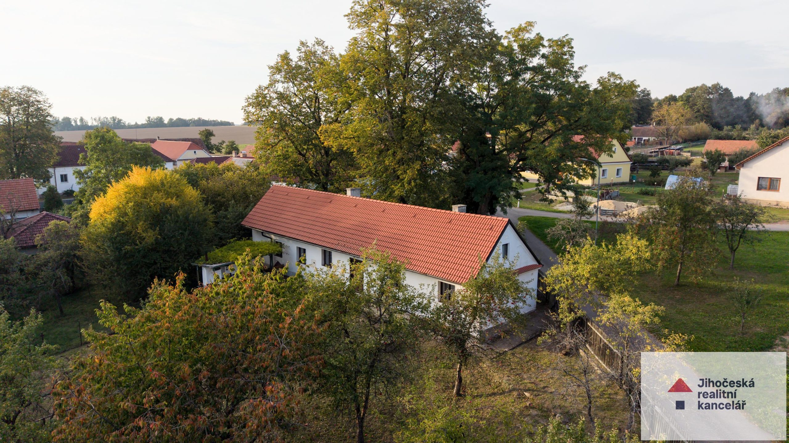obraz videa